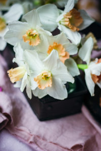 Osterbrunch Rezepte #umdentisch #ostern #rezepte #deko #tischdeko #brunch #backen #olivenölkuchen #grapefruit